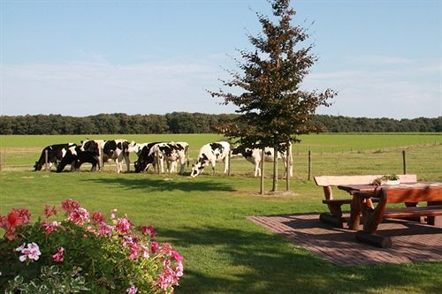 Restaurant Gerardushoeve 3* Heijenrath